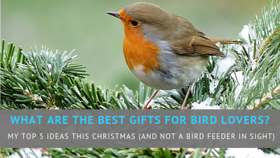 What are the best gifts for bird lovers?