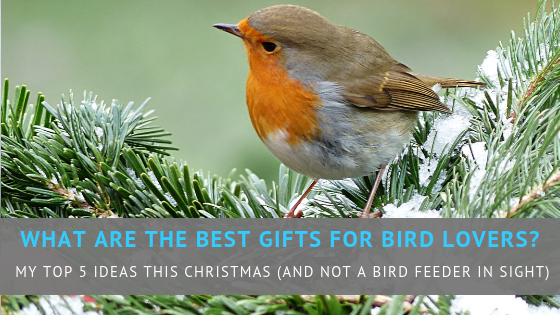 Gifts for bird lovers sale