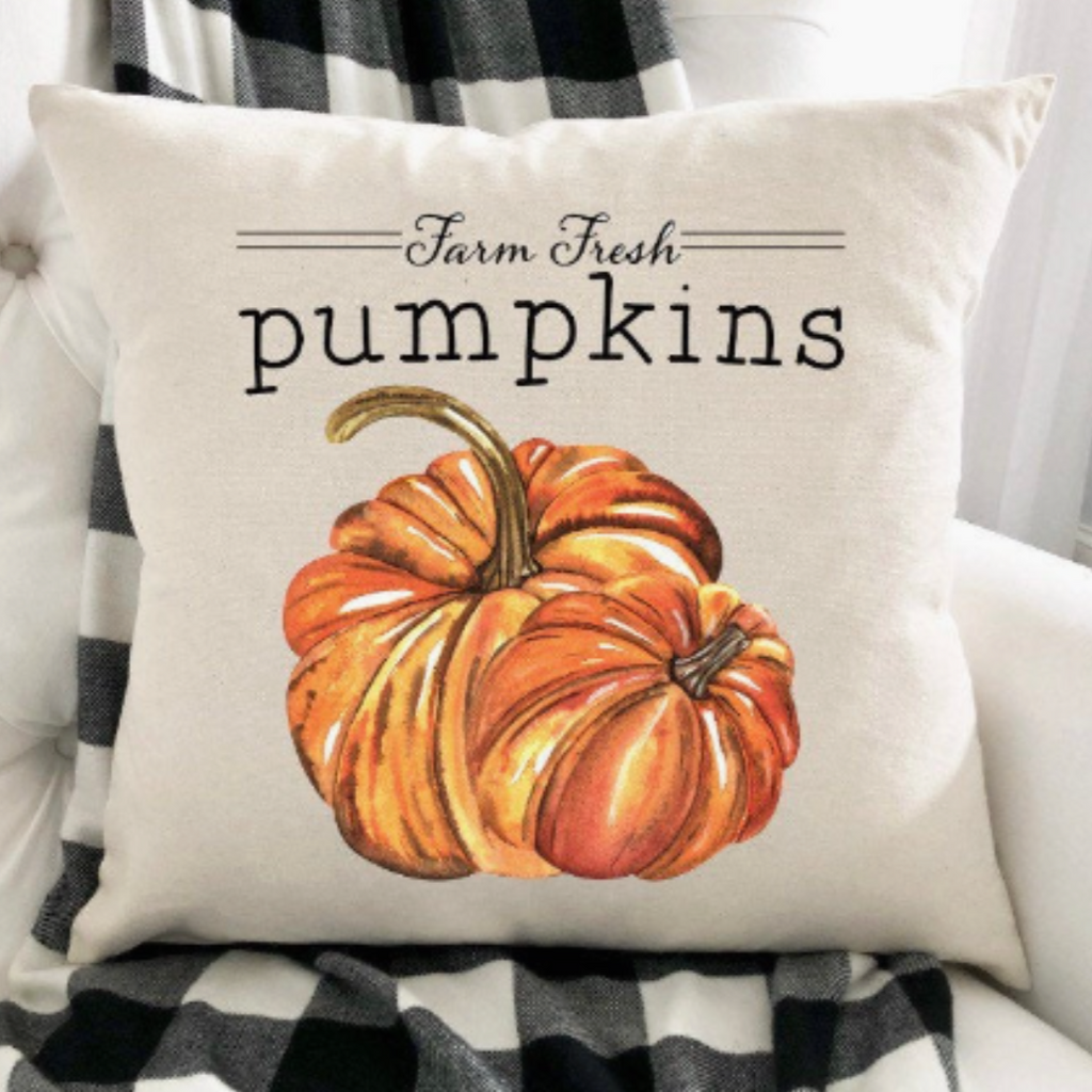 pumpkin cushion